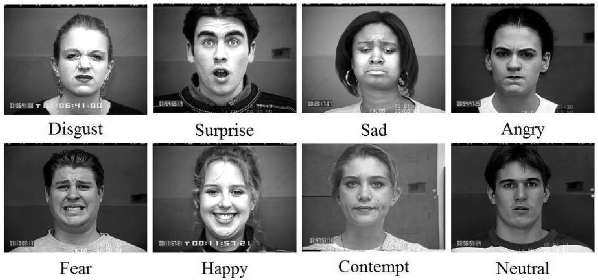 /Portfolio/facial-emotion-recognition/fer.webp /Portfolio/facial-emotion-recognition/fer.webp